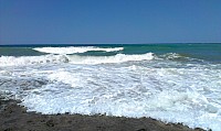 IMAG0450