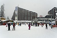 IMG_2818