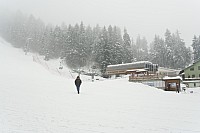 IMG_2864