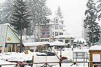 IMG_2884