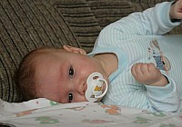 IMG_4908_1