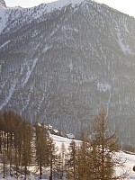 P1010092