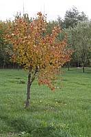 img_1388