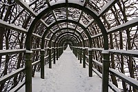 img_1511